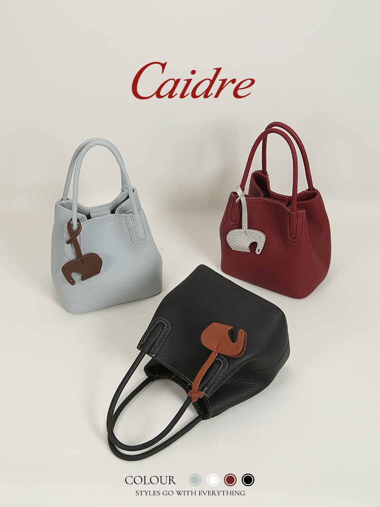 Borsa Tote di Lusso Caidre 202 - Luxury Bags Korea recensione e prezzo
